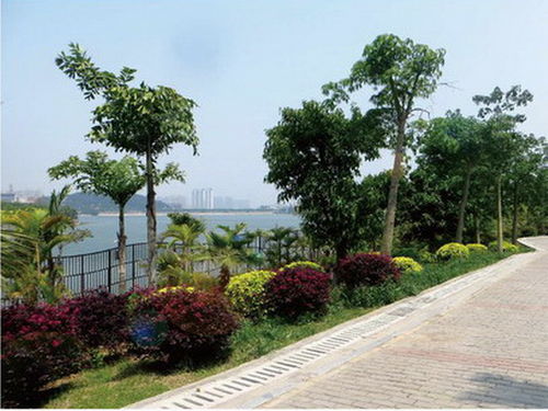 廈門湖邊水庫片區景觀工程