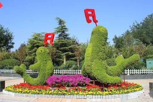 成都五色草雕塑專業(yè)定制廠家 五色草綠雕造型可來圖定制保質(zhì)保量