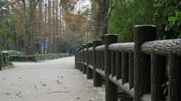 南京藝金園景觀工程的產(chǎn)品特點(diǎn)