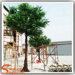 廠家直銷(xiāo)仿真植物榕樹(shù) 開(kāi)啟景觀工程新篇章