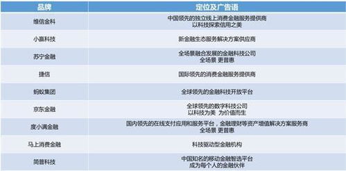 消費金融公司品牌戰略升級 聚焦金融信息服務的價值重塑與生態構建